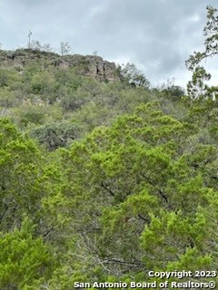32901 Hwy 55 Property Photo 16