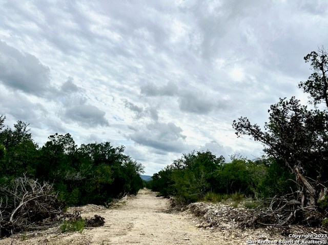 32901 Hwy 55 Property Photo 23