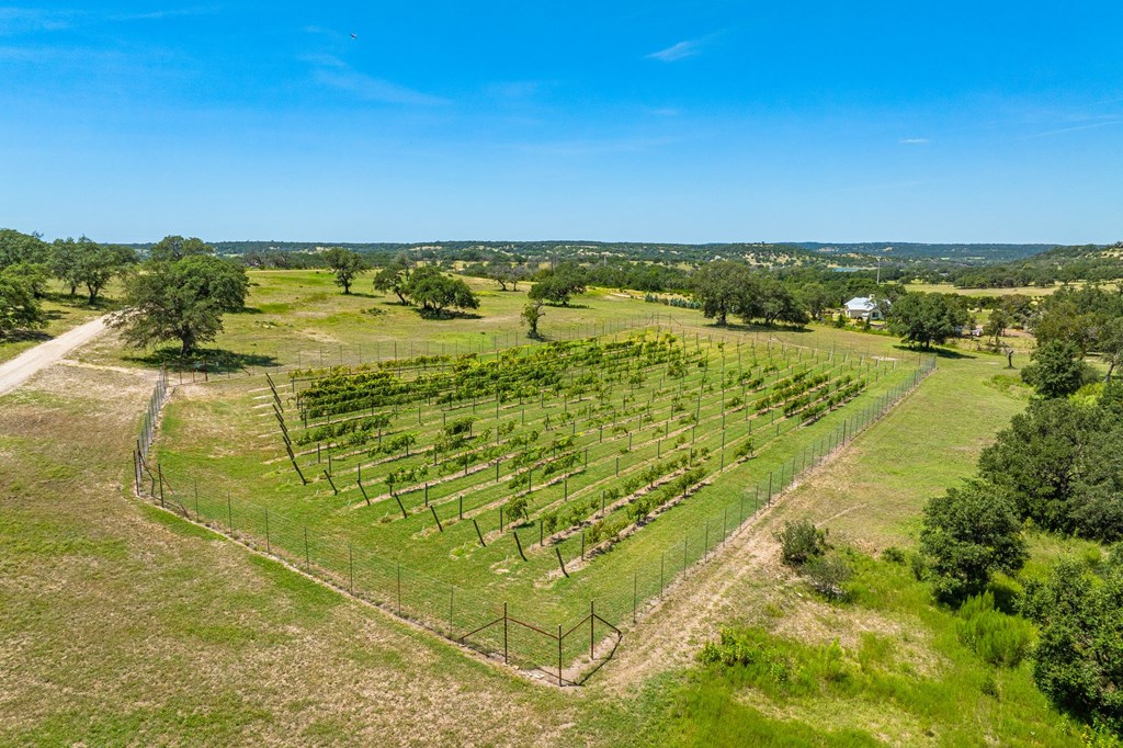 5081 Bandera Hwy Property Photo 43
