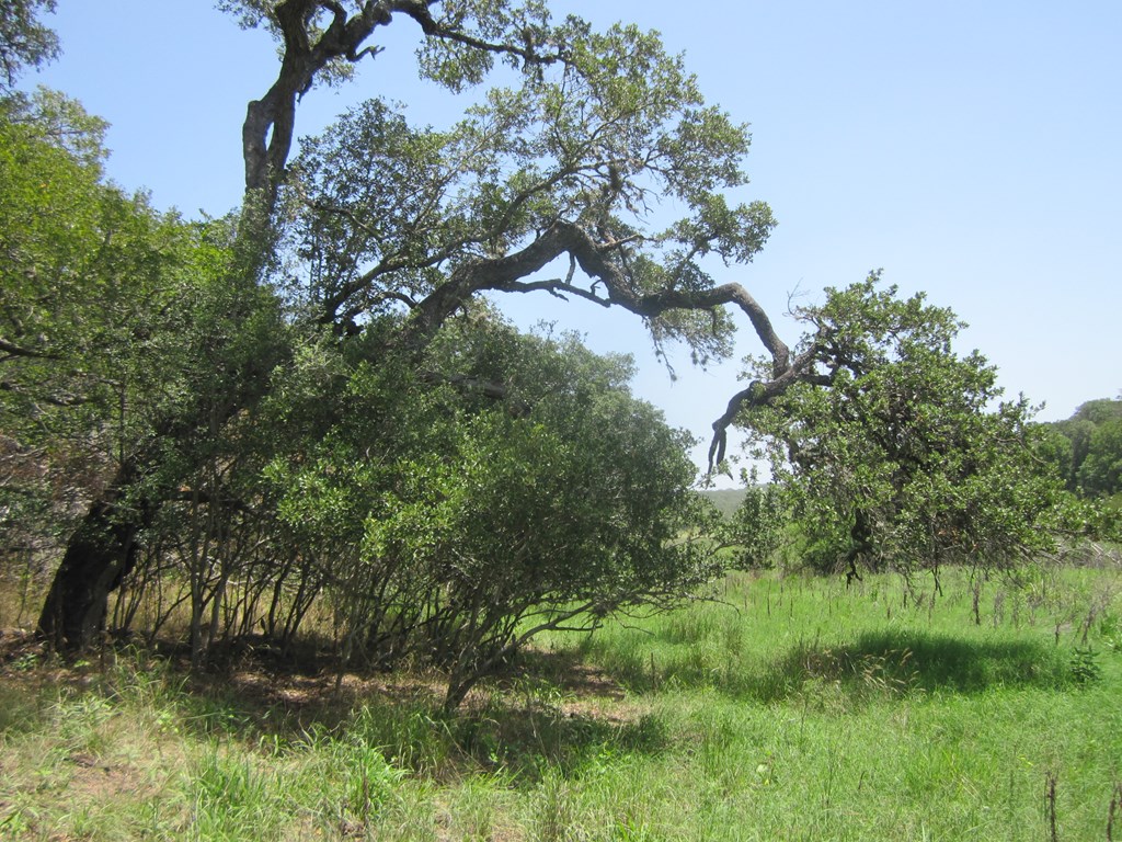 115800 Property Photo 4