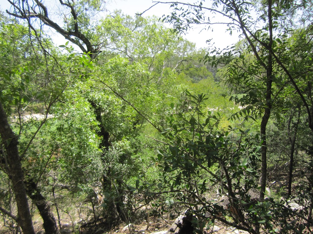 115800 Property Photo 15
