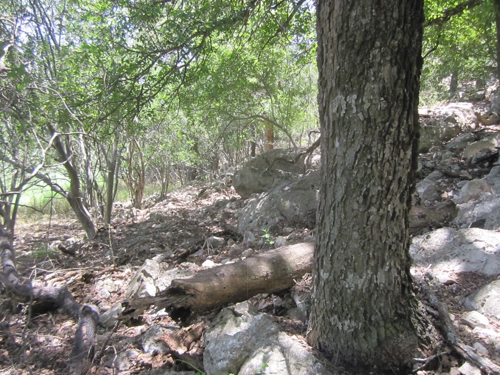 115800 Property Photo 16