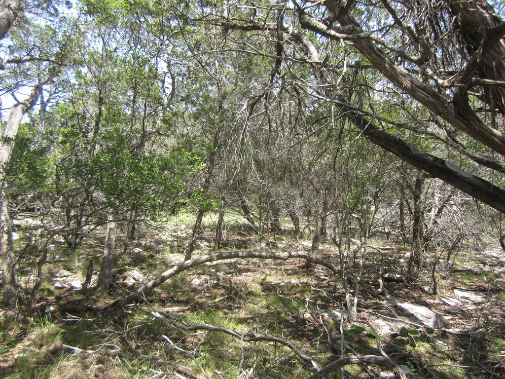 115800 Property Photo 19