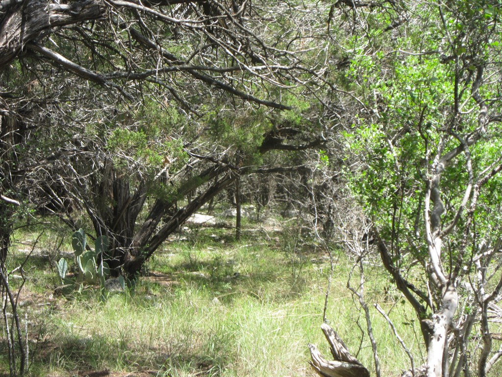 115800 Property Photo 20