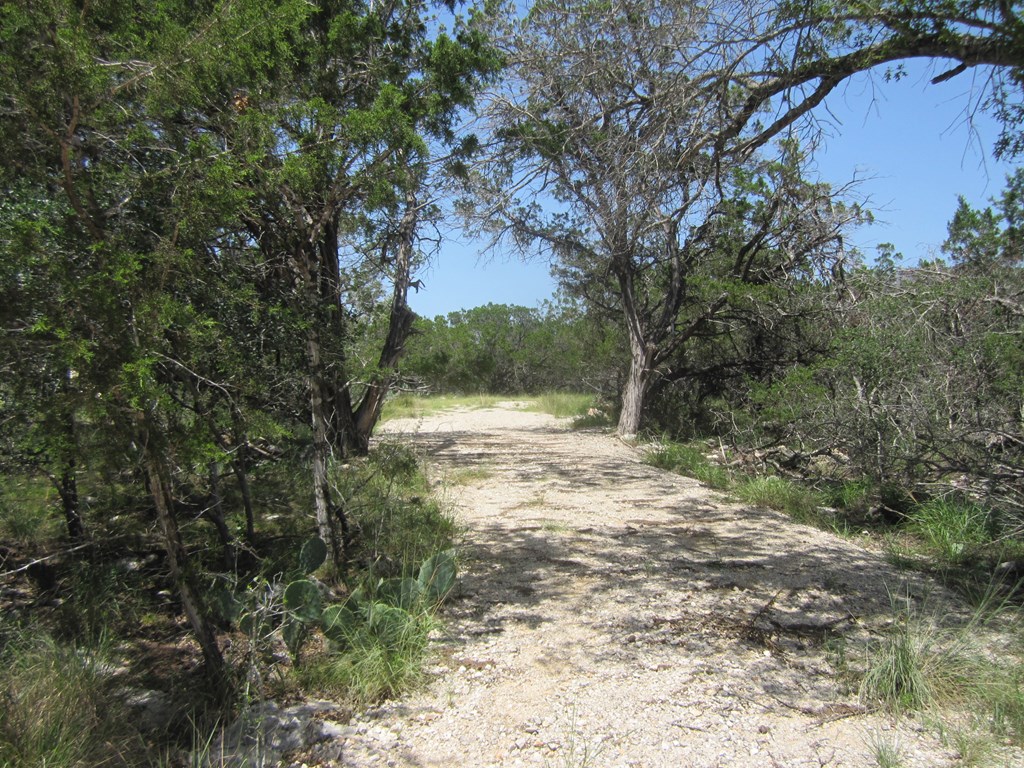 115800 Property Photo 21