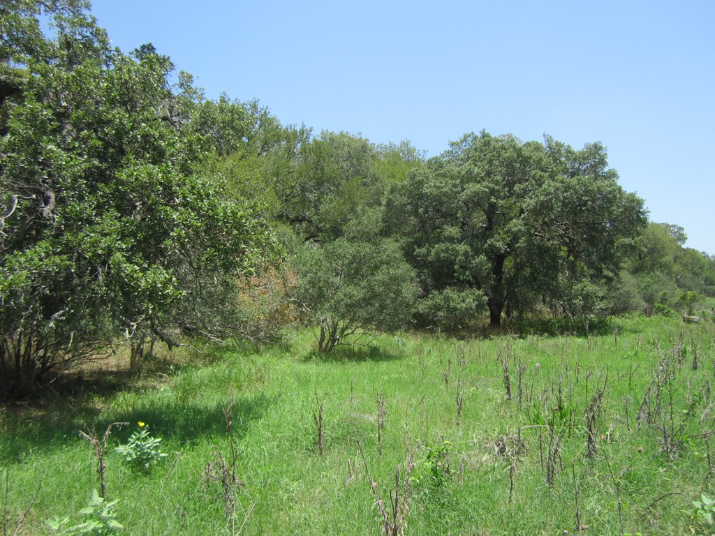 115800 Property Photo 23