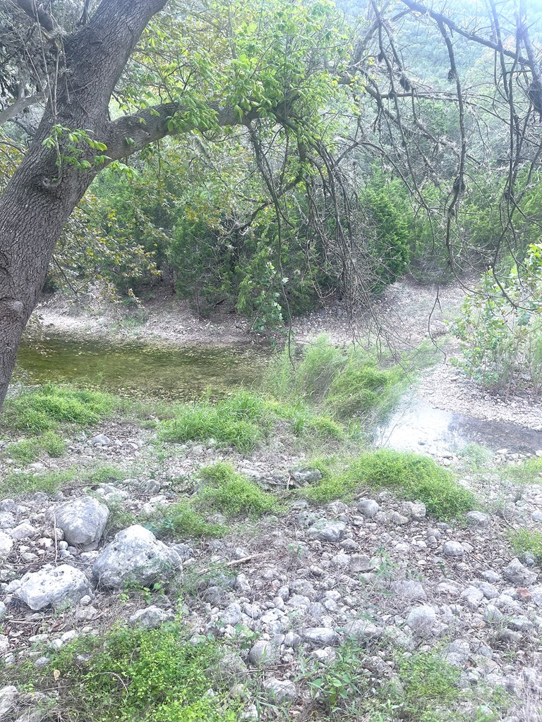 2765 W Ranch Rd 337 Property Photo 4