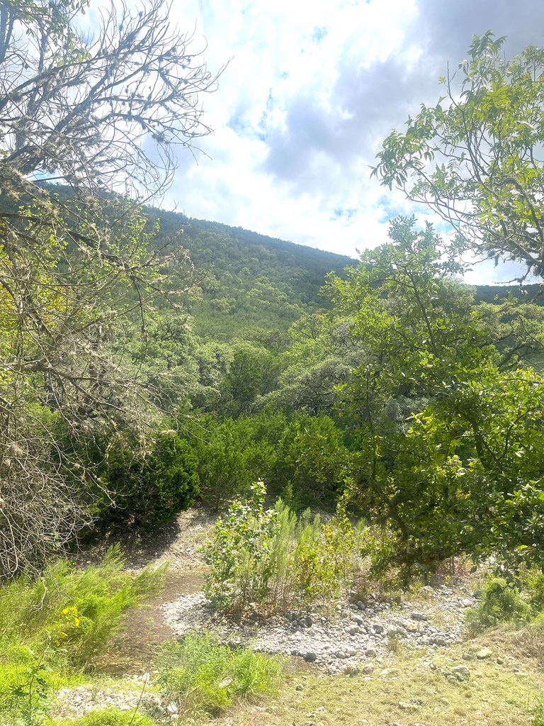 2765 W Ranch Rd 337 Property Photo 6