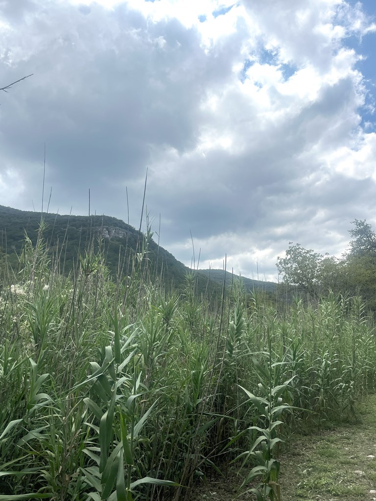 2765 W Ranch Rd 337 Property Photo 17