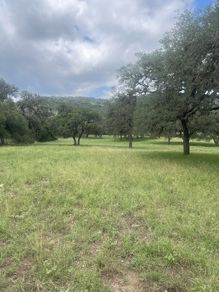 2765 W Ranch Rd 337 Property Photo 30