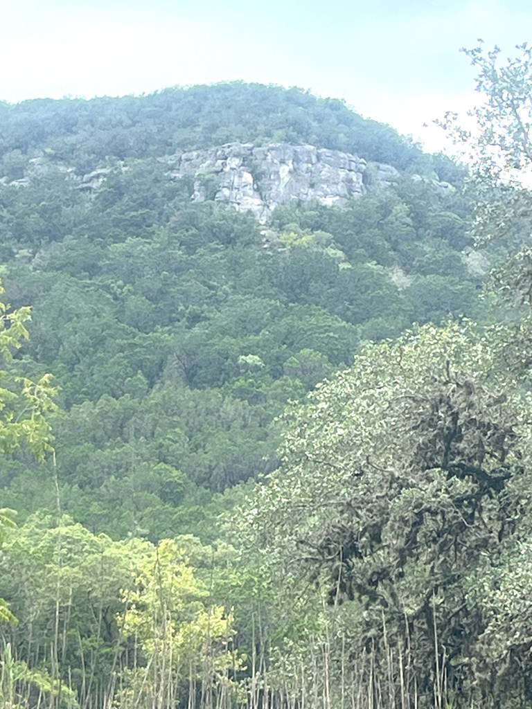 2765 W Ranch Rd 337 Property Photo 54