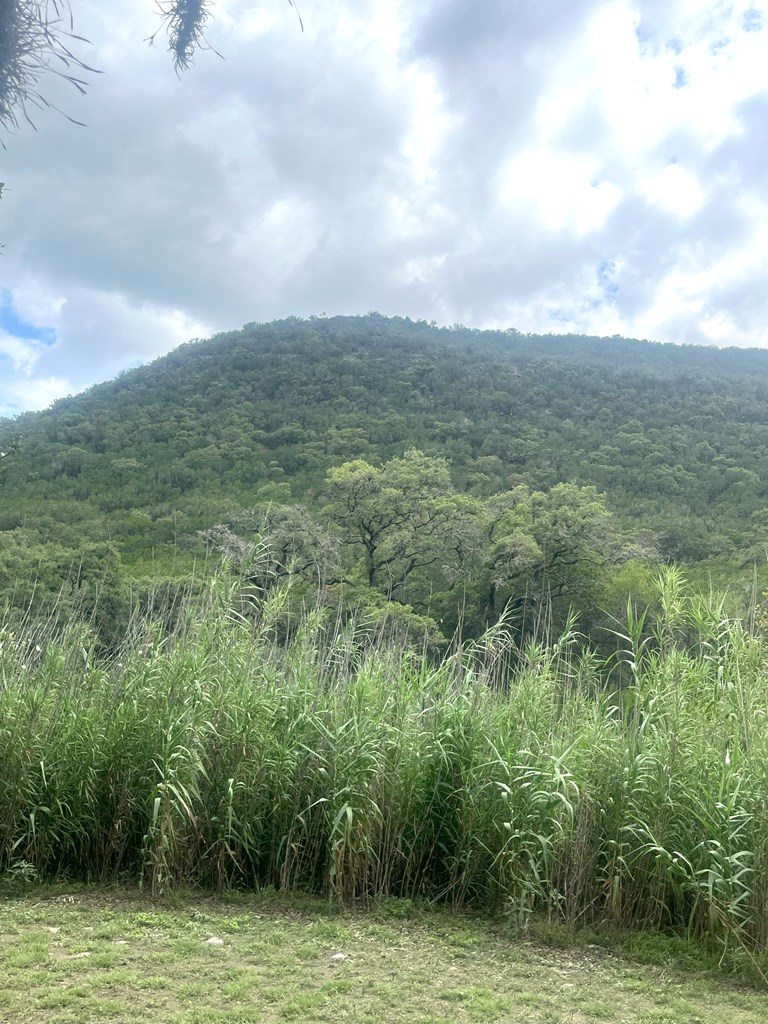 2765 W Ranch Rd 337 Property Photo 56