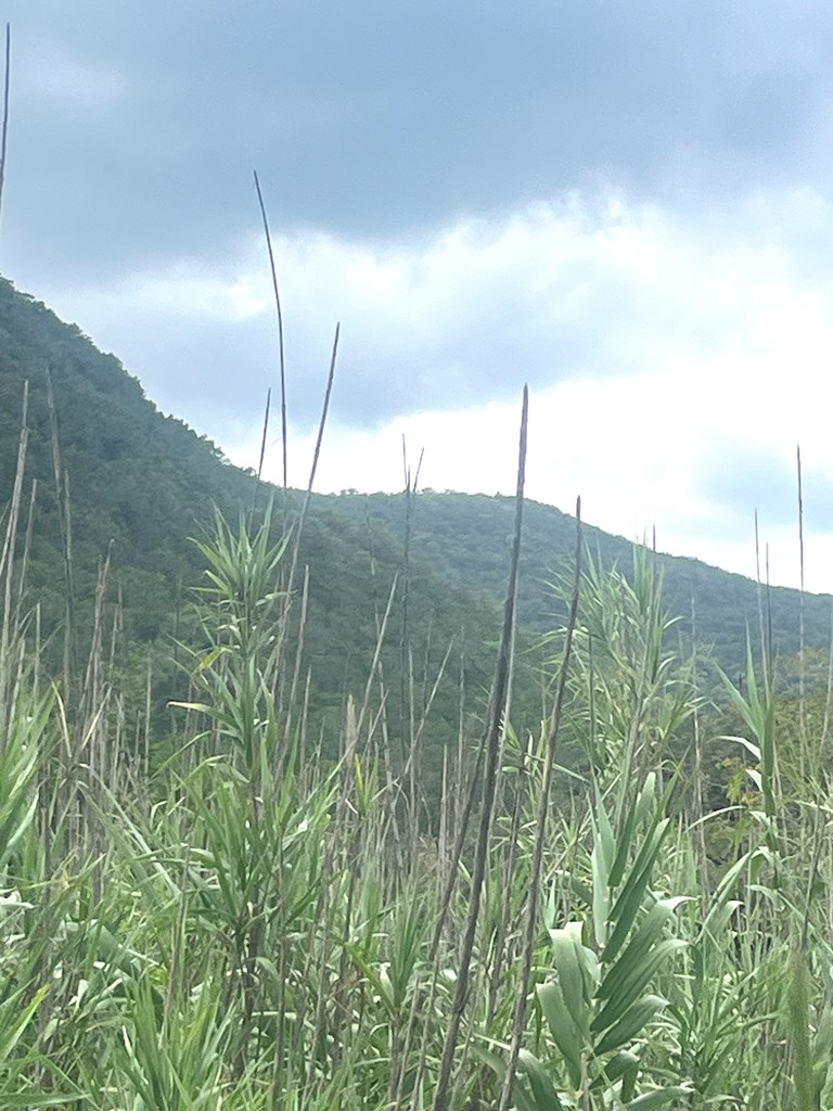 2765 W Ranch Rd 337 Property Photo 57