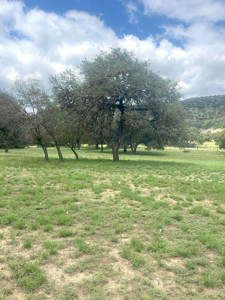 2765 W Ranch Rd 337 Property Photo 61