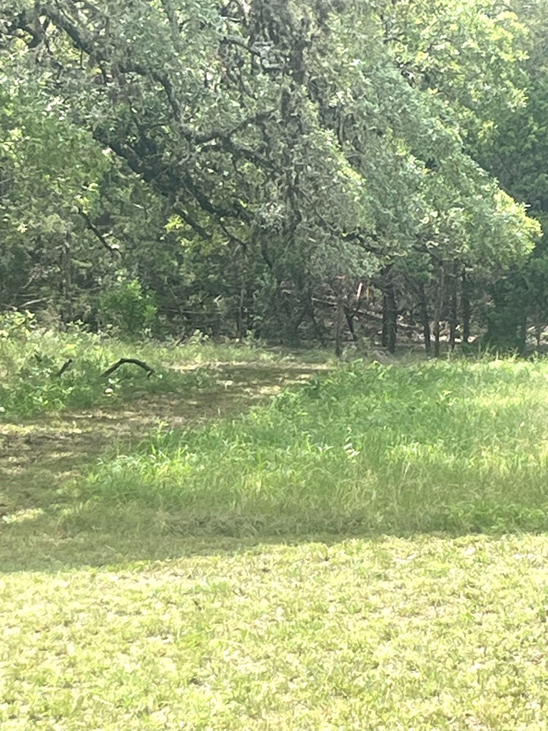 2765 W Ranch Rd 337 Property Photo 65