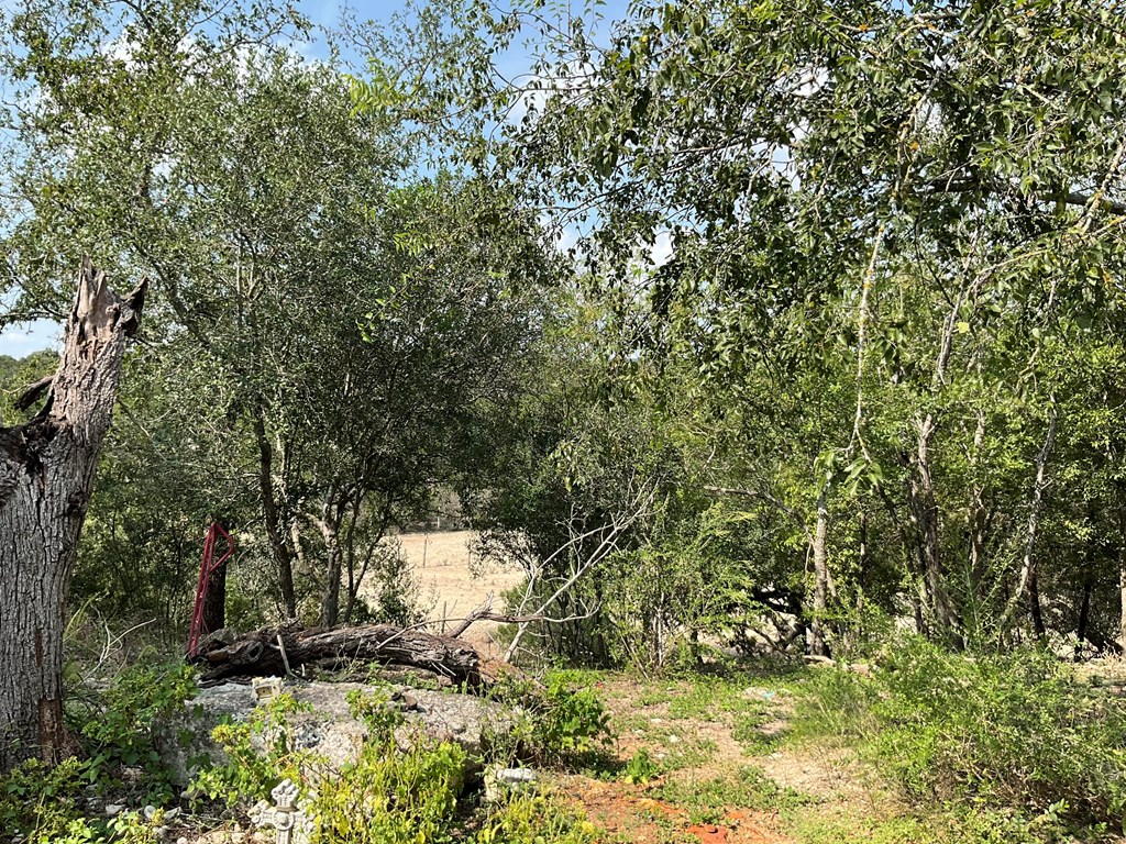 313 Elm Pass 2 Rd Property Photo 25