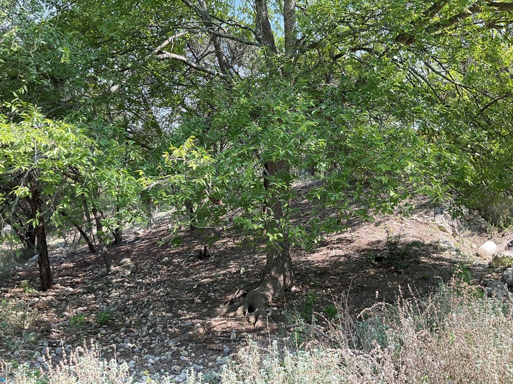 313 Elm Pass 2 Rd Property Photo 29