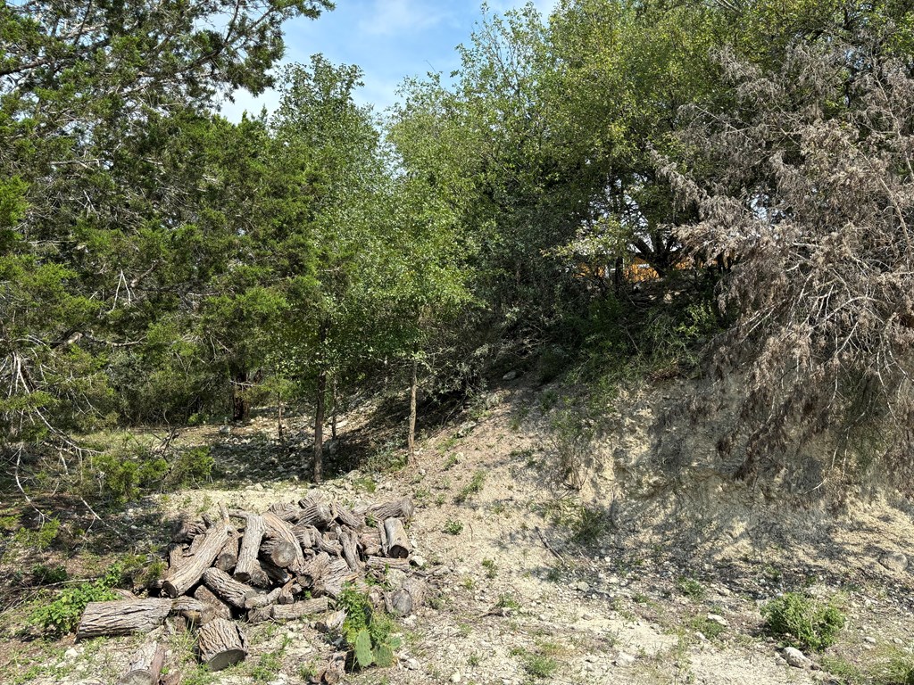 313 Elm Pass 2 Rd Property Photo 41