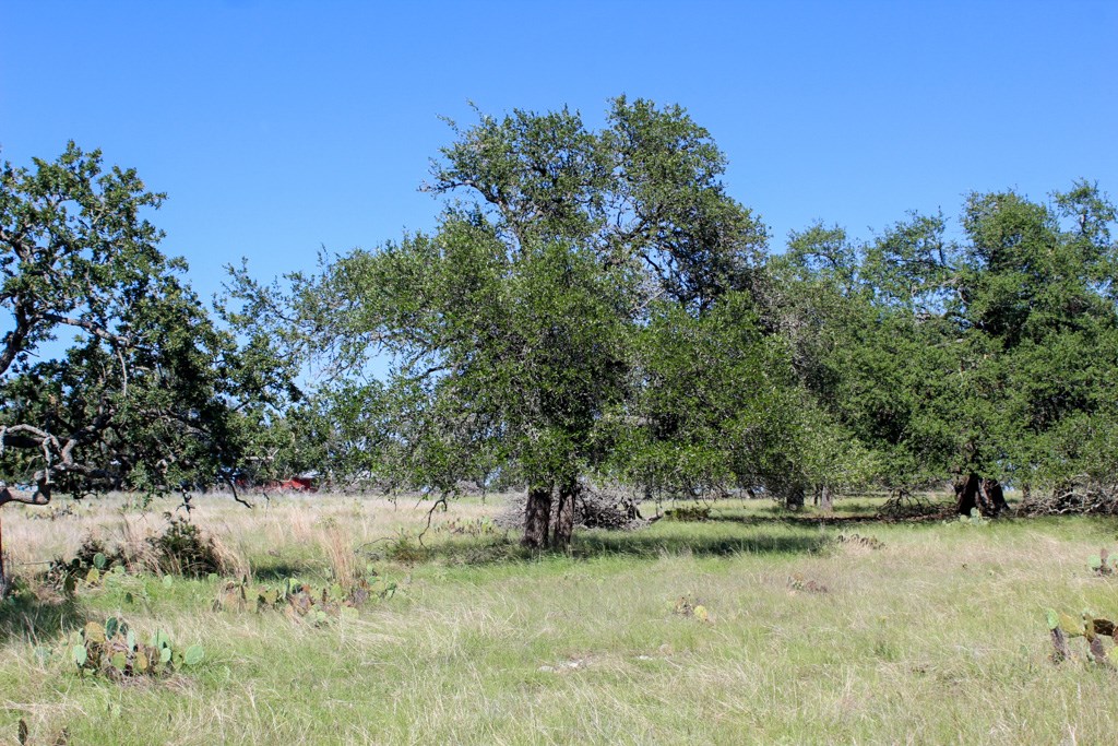 210 Apache Trace # 71 Property Photo 2