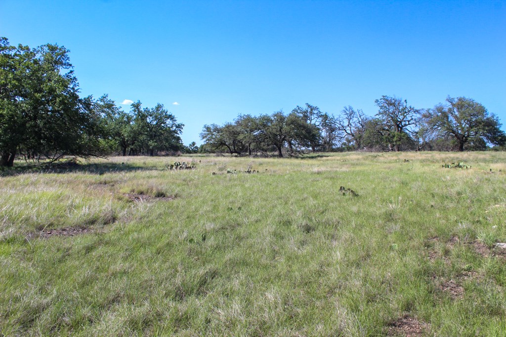 210 Apache Trace # 71 Property Photo 4