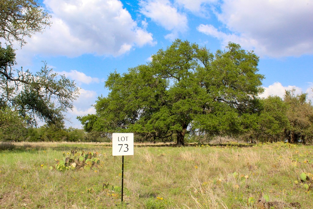 196 Apache Trace # 73 Property Photo 2