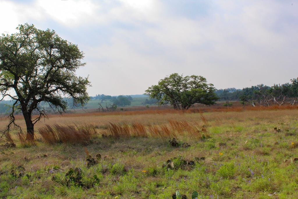 277 Apache Trace # 10 Property Photo 1