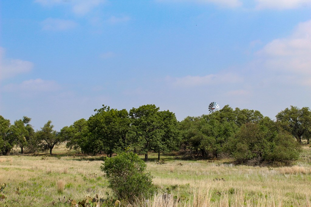 124 Lipan Loop # 48 Property Photo 3