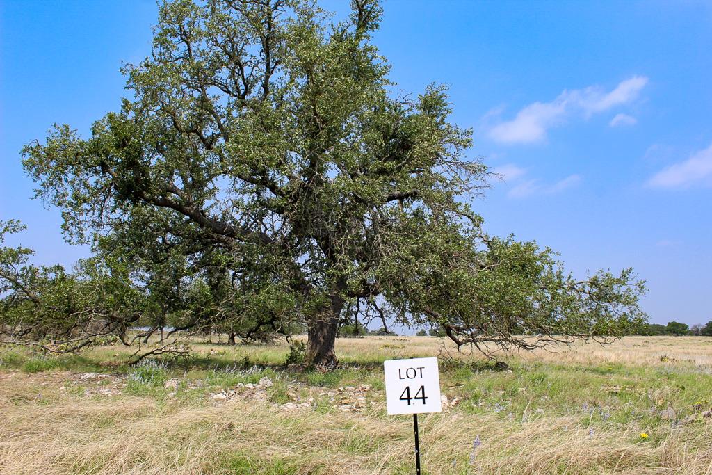 198 Lipan Loop # 44 Property Photo