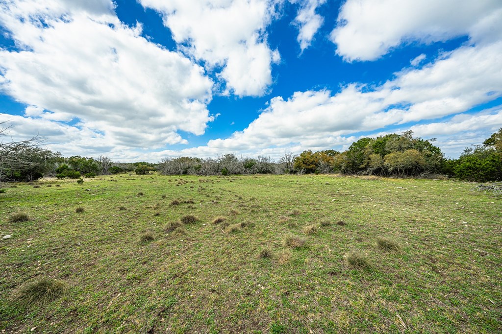 126 Dick Gates Rd Property Photo 32