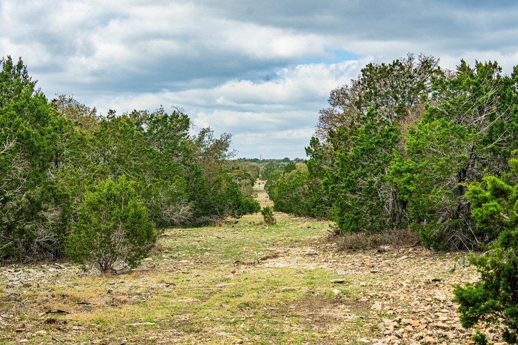 126 Dick Gates Rd Property Photo 36