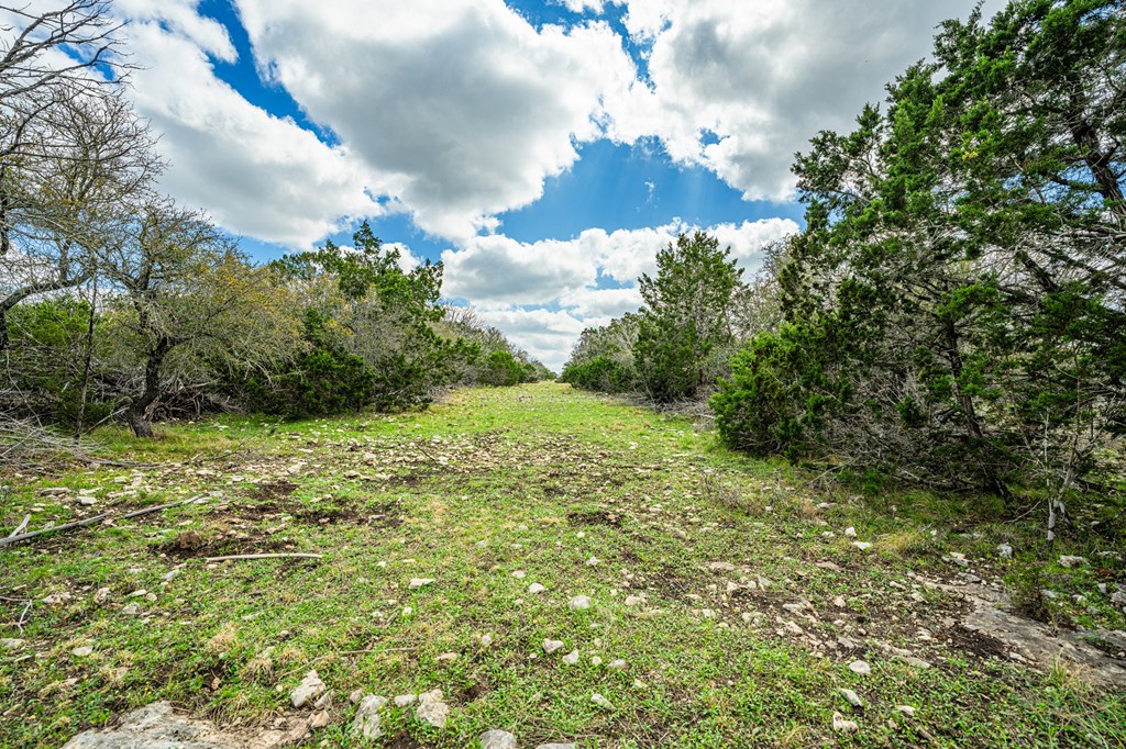 126 Dick Gates Rd Property Photo 31