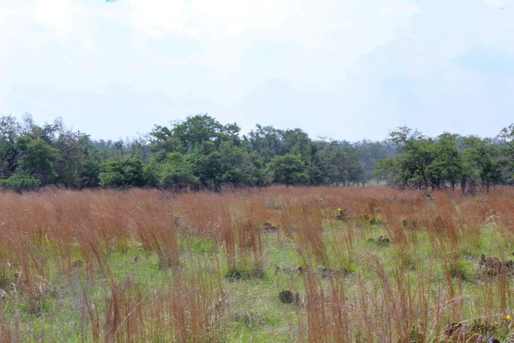 131 Lipan Loop # 17 Property Photo 2