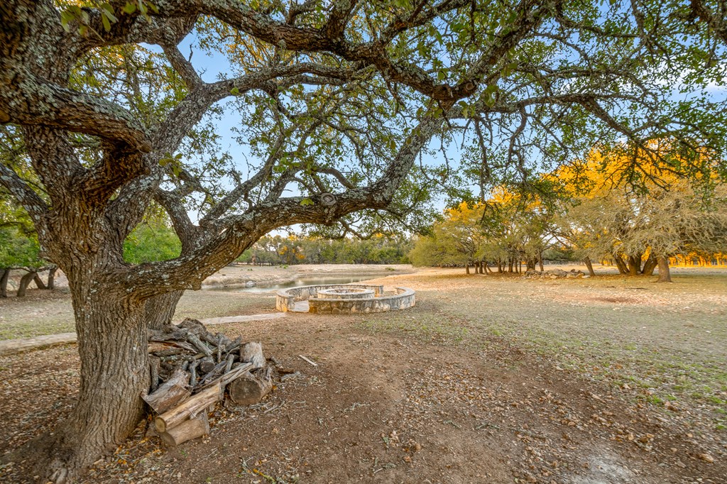 2942 Hwy 41 Property Photo 10