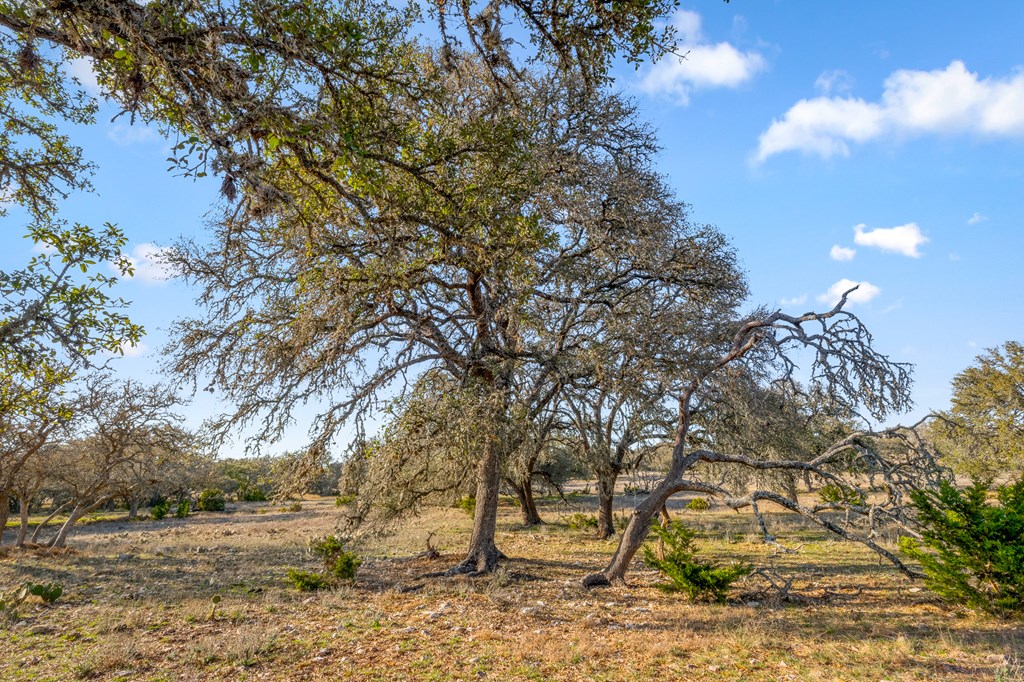 2942 Hwy 41 Property Photo 12