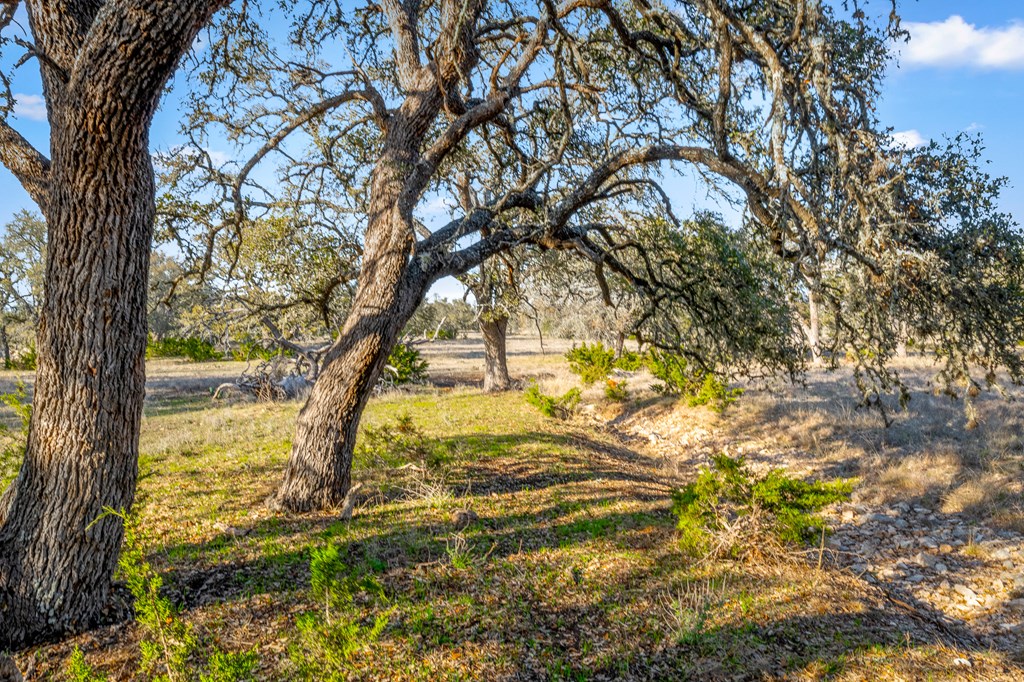 2942 Hwy 41 Property Photo 21