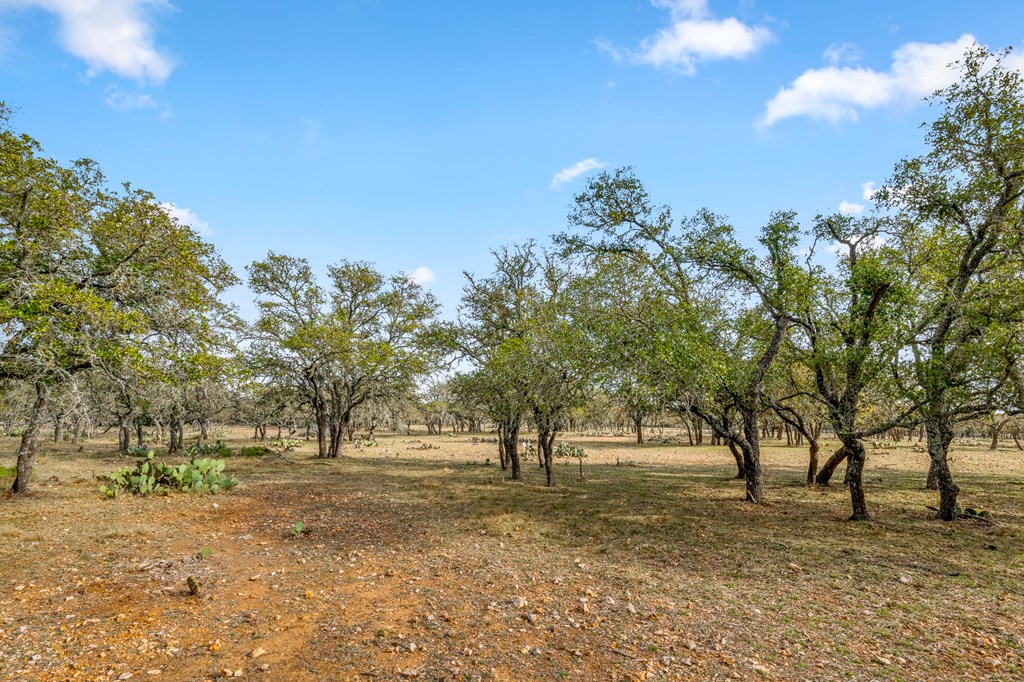 2942 Hwy 41 Property Photo 27