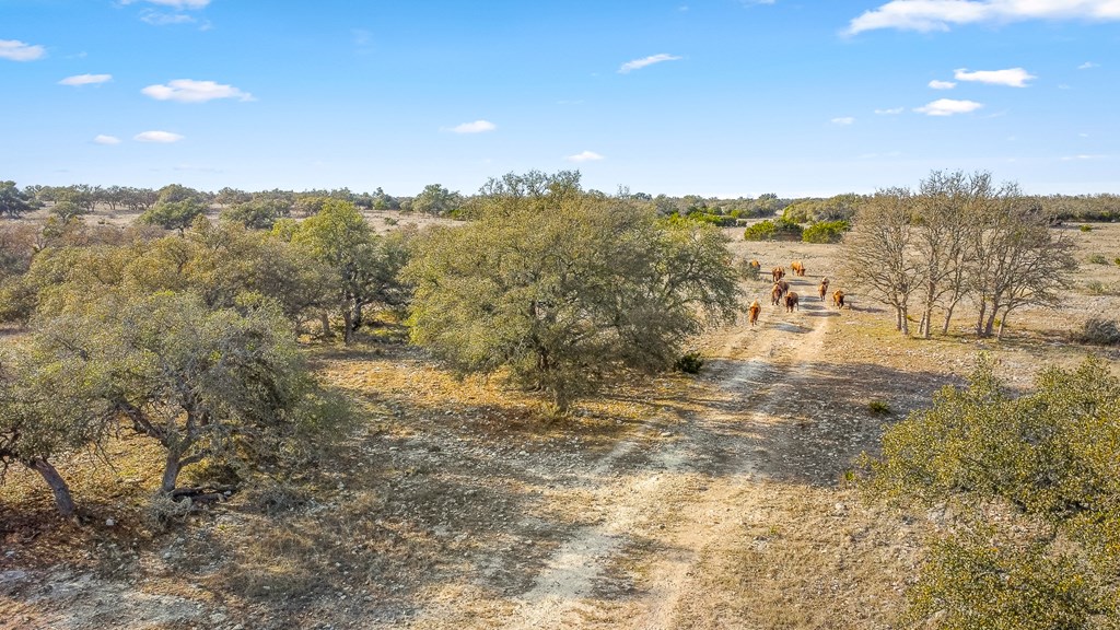 2942 Hwy 41 Property Photo 30