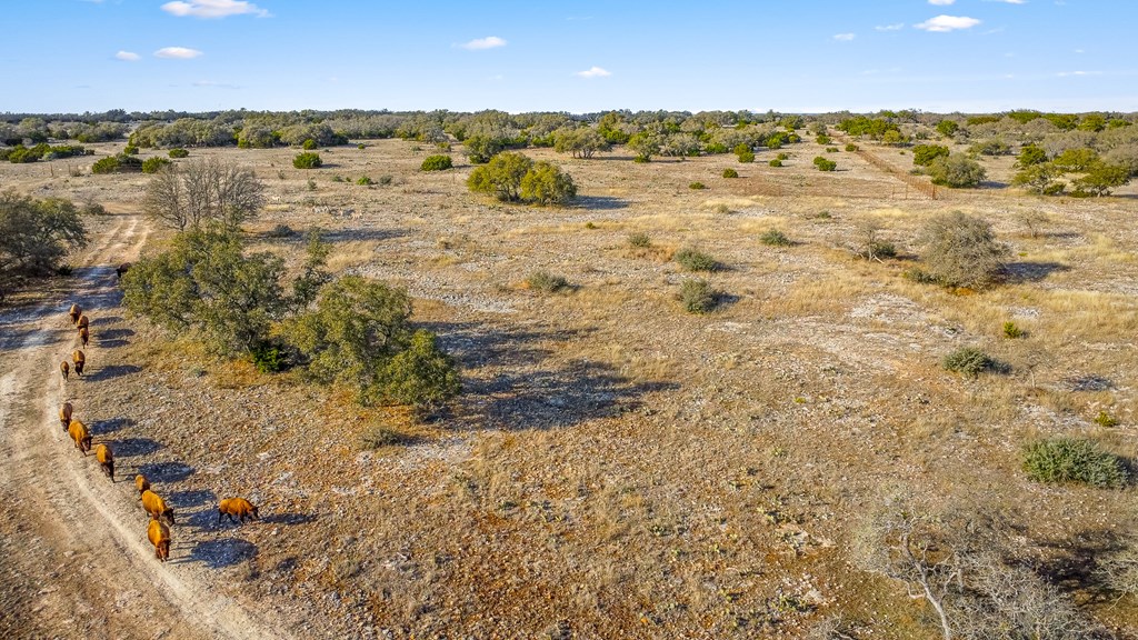 2942 Hwy 41 Property Photo 33