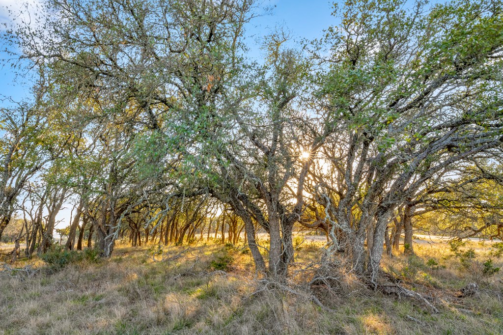 2942 Hwy 41 Property Photo 43