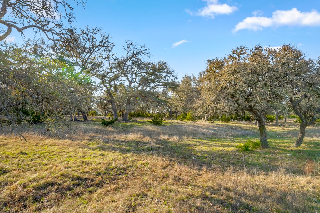 2942 Hwy 41 Property Photo 49