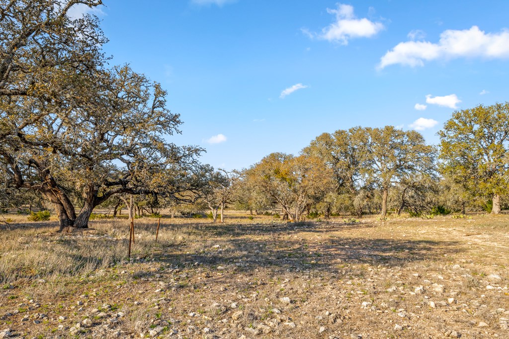 2942 Hwy 41 Property Photo 59