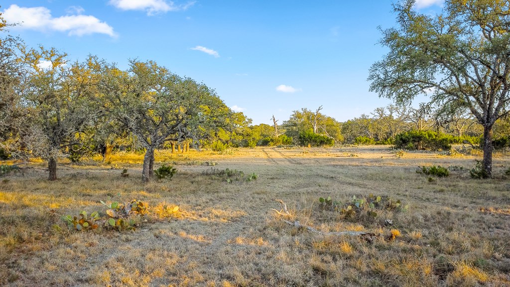 2942 Hwy 41 Property Photo 60
