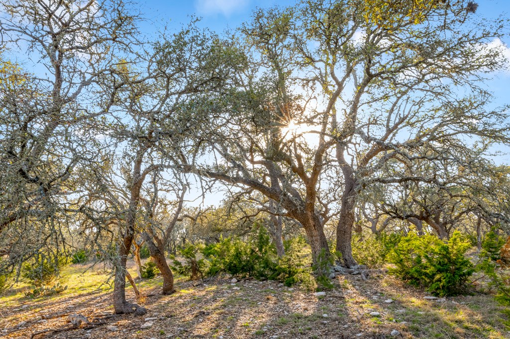 2942 Hwy 41 Property Photo 62