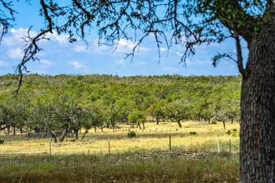 436 Stevens Ranch Rd. Property Photo