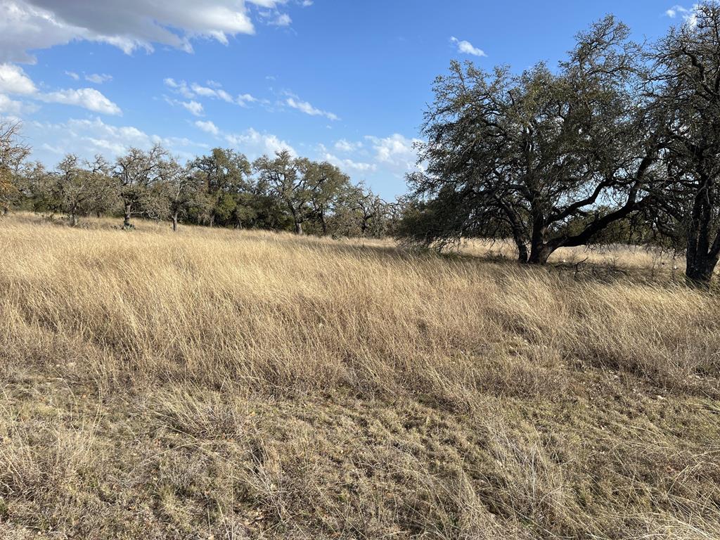 Lot 18 Cattlemans Crossing Dr Property Photo