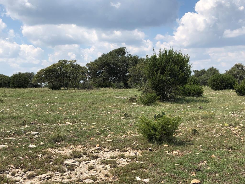 Lot 4 Zenner-Ahrens Rd Property Photo 1