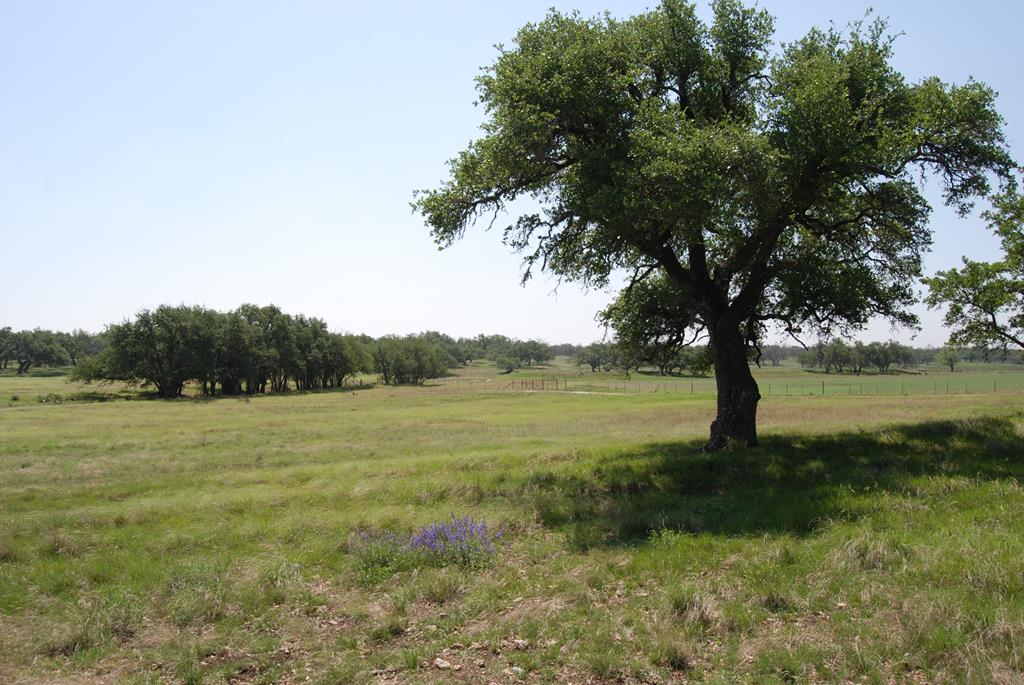 2165 Fm 479 Property Photo