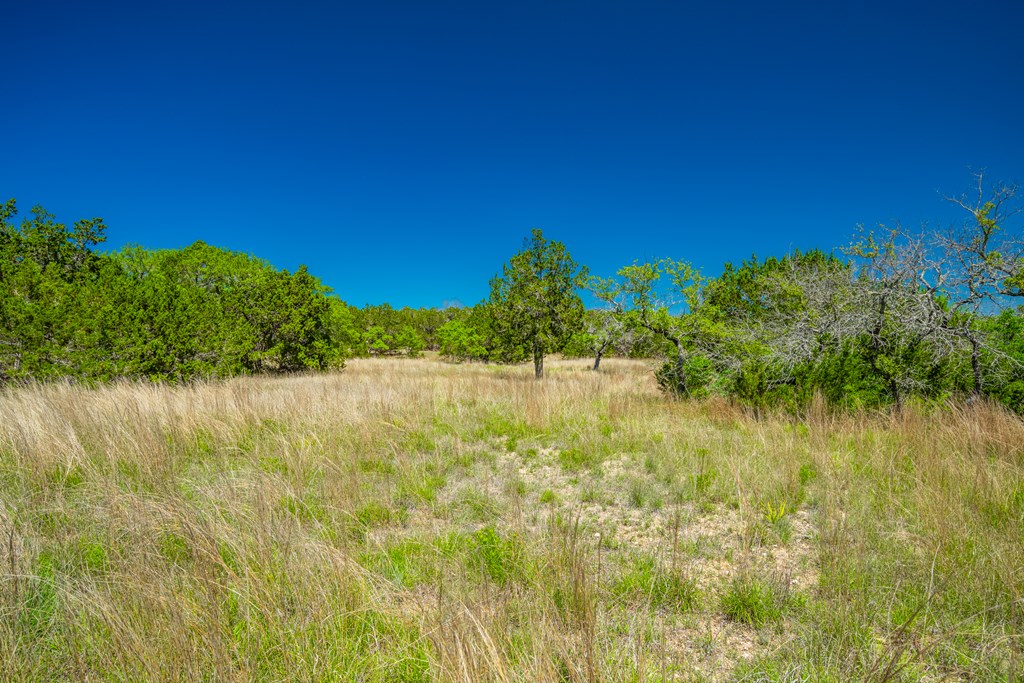 119149 Property Photo 22