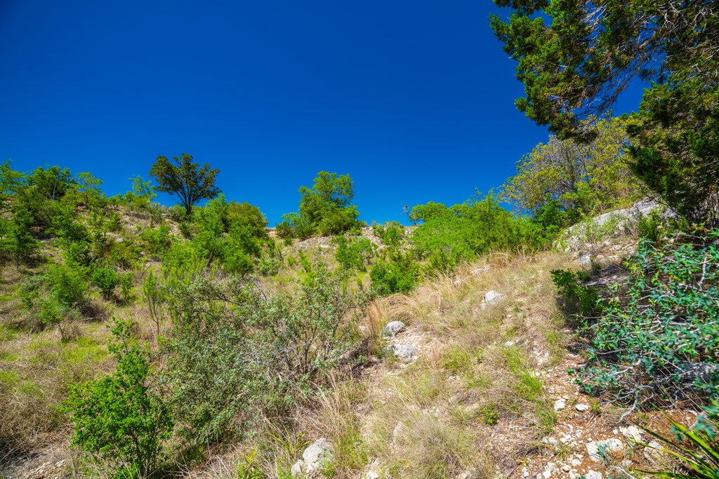 119149 Property Photo 29