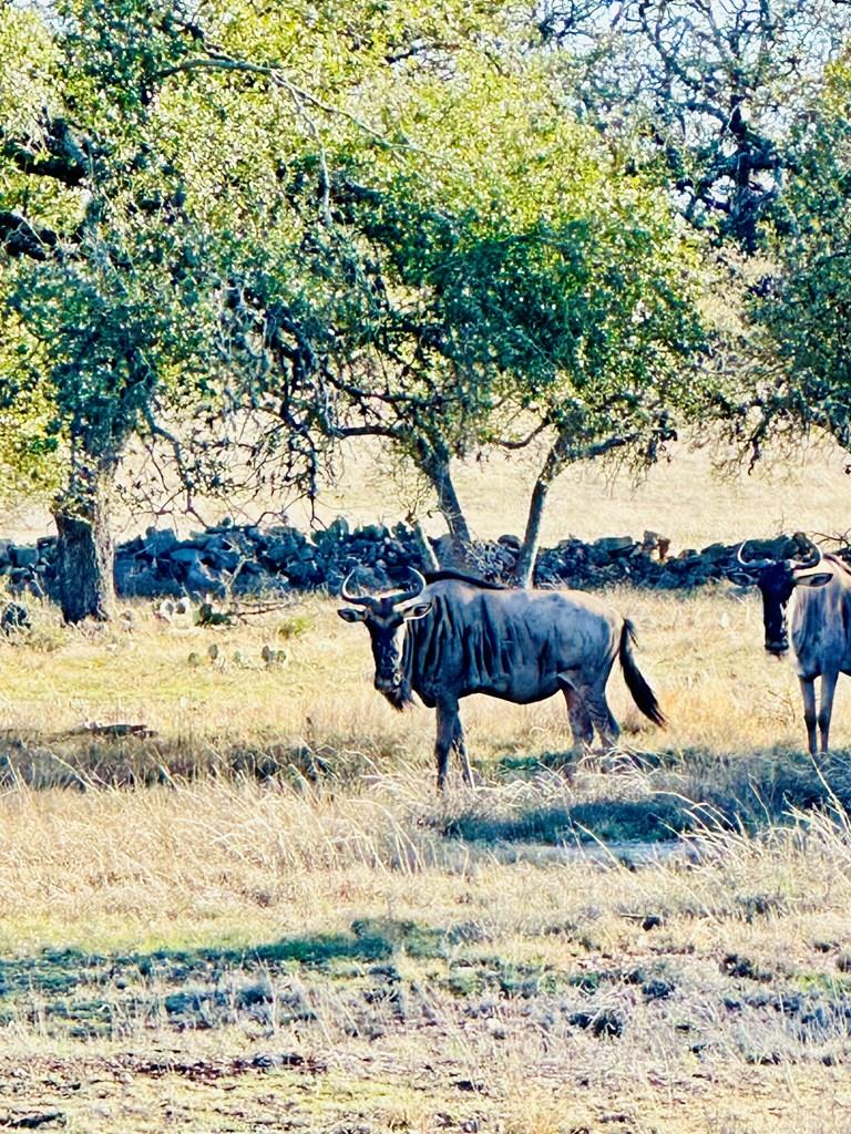 Lot 106 Oryx View Dr # 106